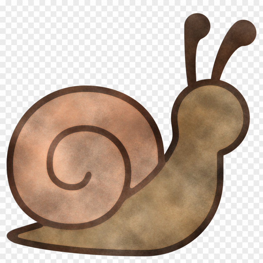 Snails And Slugs Snail Slug PNG