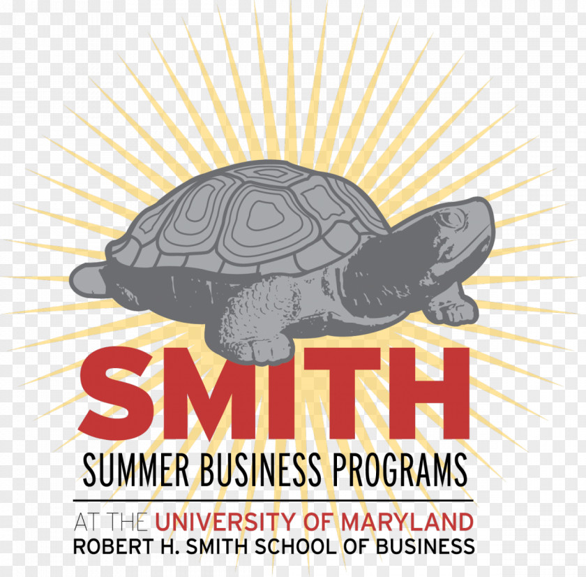 University Competition Robert H. Smith School Of Business National Secondary PNG