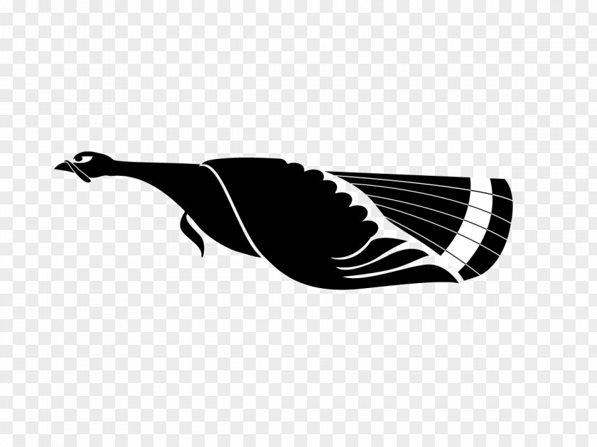 Bird Beak Black Water Silhouette PNG