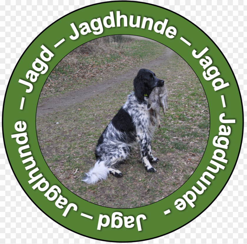 Flat Coated Retriever Dog Breed Alpine Dachsbracke Westphalian German Hound Styrian Coarse-haired PNG