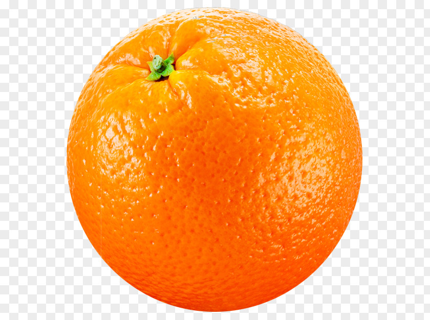 Orange Clementine Joke Tangerine Mandarin PNG