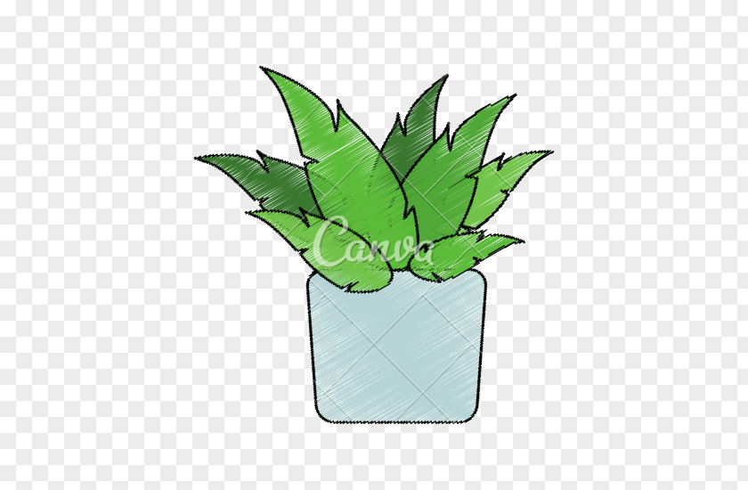 Pot Plant Photography Drawing PNG