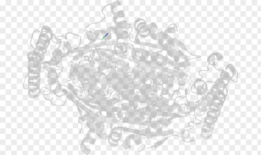 Product Design Pattern Angle Organism PNG