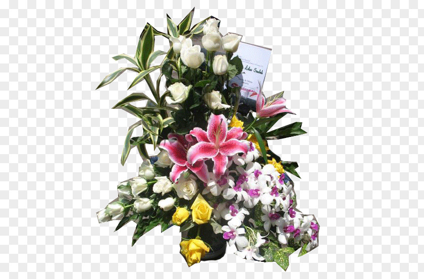 Bunga Anggrek Floral Design Cut Flowers Flower Bouquet Rose Family PNG