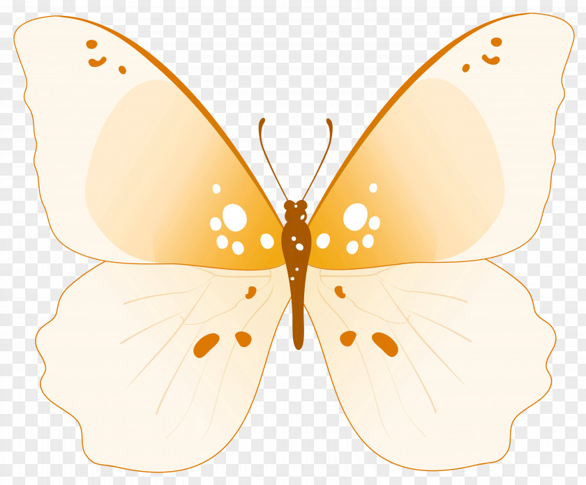 Butterfly Clipar Image Monarch Clip Art PNG
