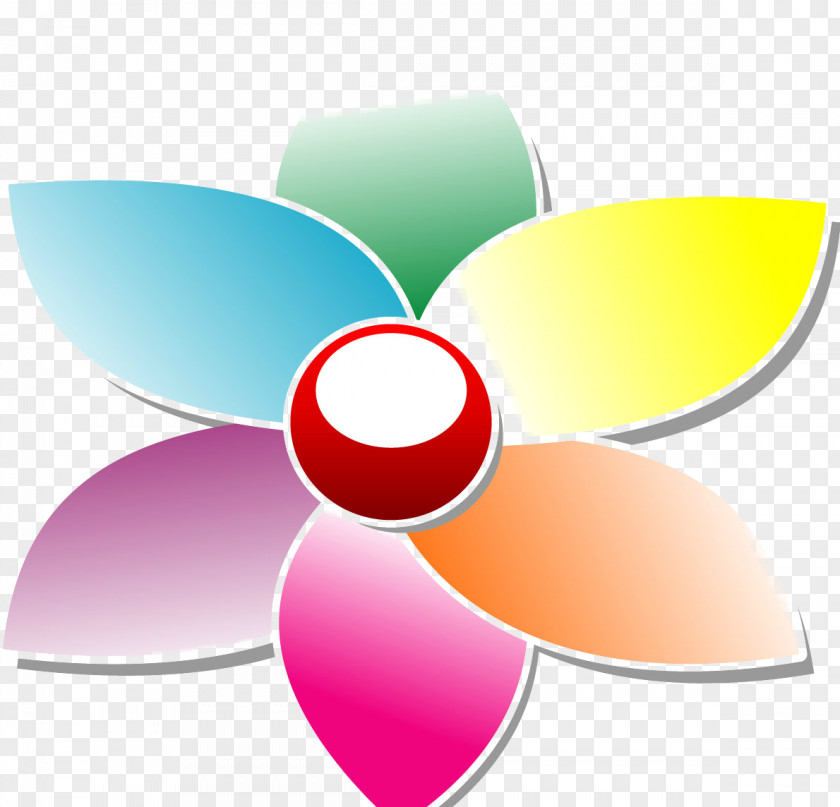 Colorful Flowers Around Petal Clip Art PNG