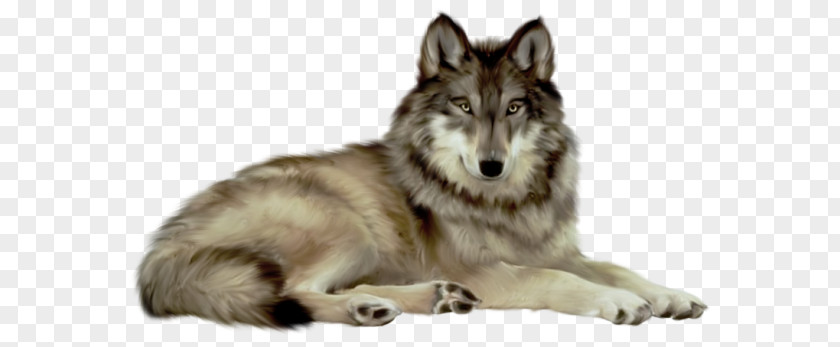 Gray Wolf Desktop Wallpaper Clip Art PNG