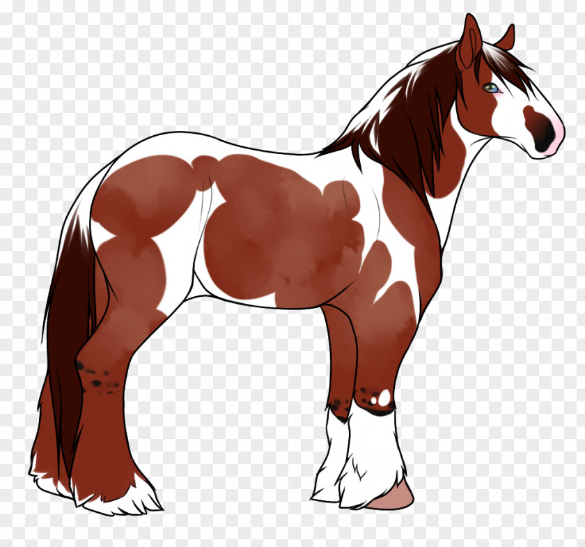 Mustang Foal Mane Stallion Mare Colt PNG