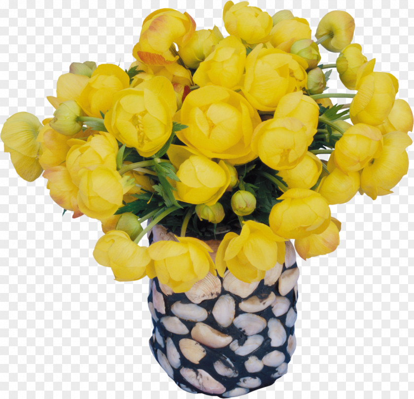 Vase Daytime Birthday Holiday PNG