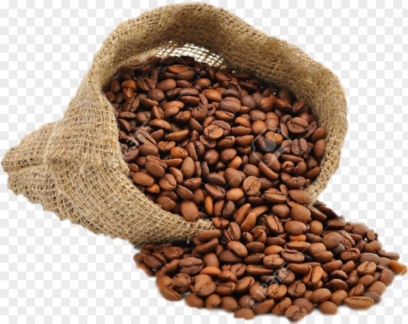 Coffee Beans Stock Photography Royalty-free Stock.xchng Shutterstock PNG