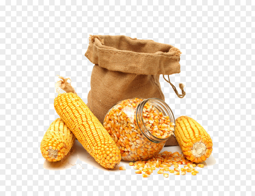 Corn And Kernels Maize Kernel Sweet Cereal Grain PNG