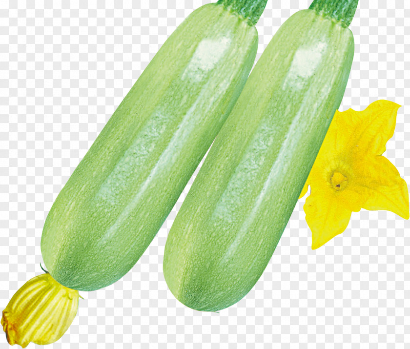 Cucumber Pickled Pepino PNG