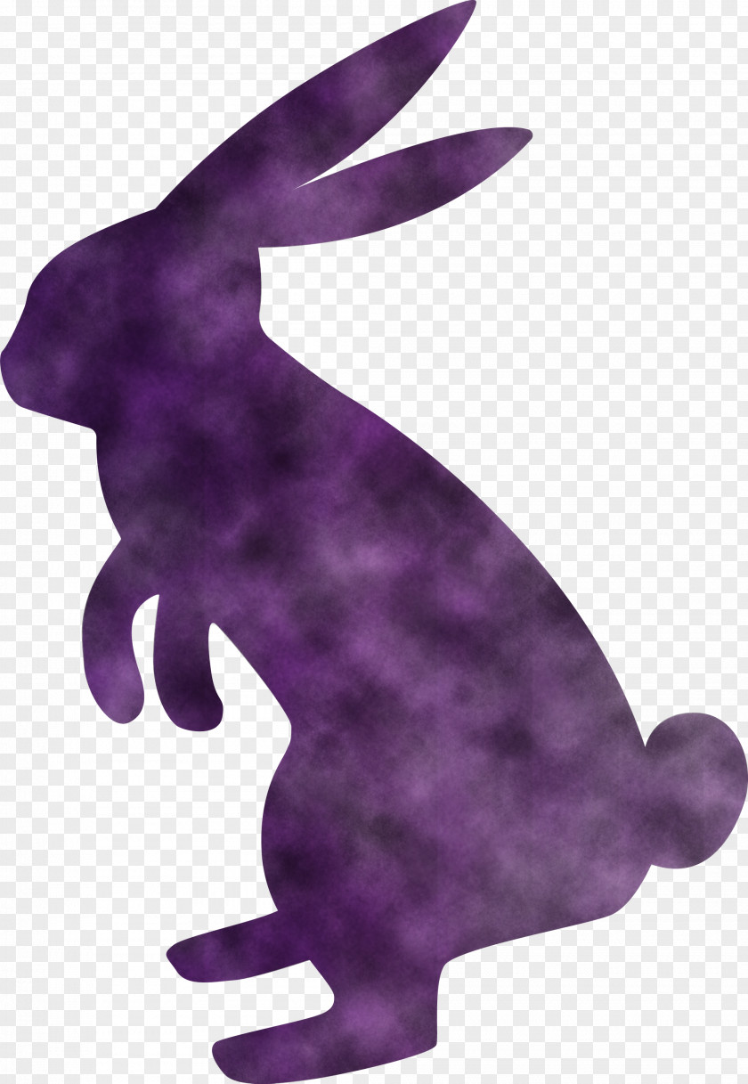 Easter Bunny Day Rabbit PNG