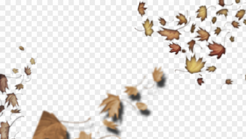 Insect Loose Leaves By Lesley Clargo Honey Bee Illustration PNG