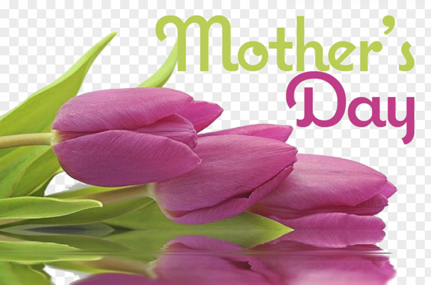 Mother's Day Massage Brunch Gift PNG