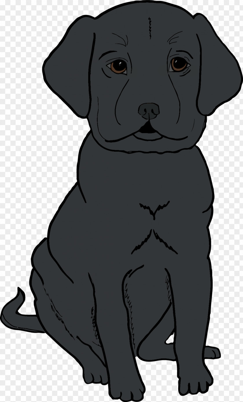 Puppy Labrador Retriever Dog Breed Whiskers PNG