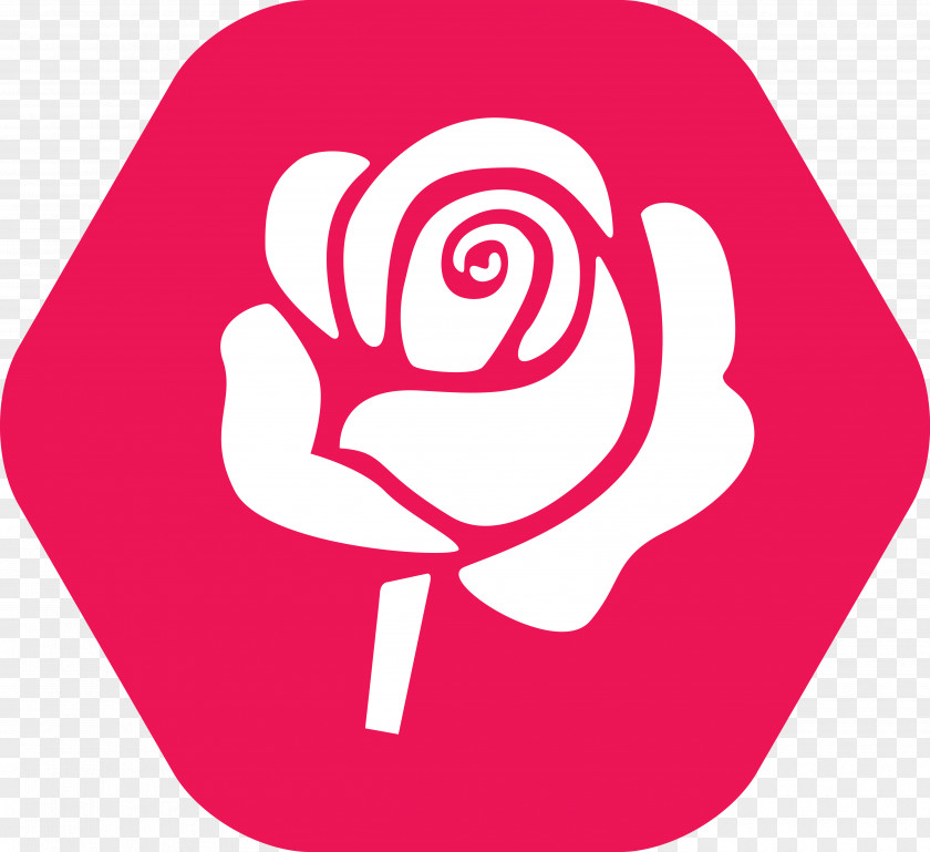 Red Vector Rose Pink PNG