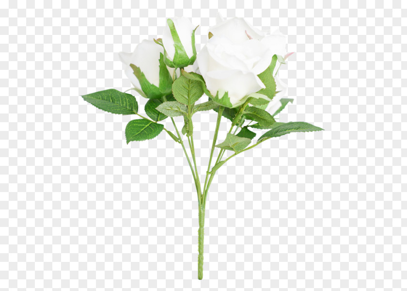 Rose Cut Flowers Family Plant Stem Bud Flowerpot PNG