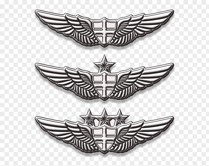 Aviation Wings Pin Emblem Badge PNG