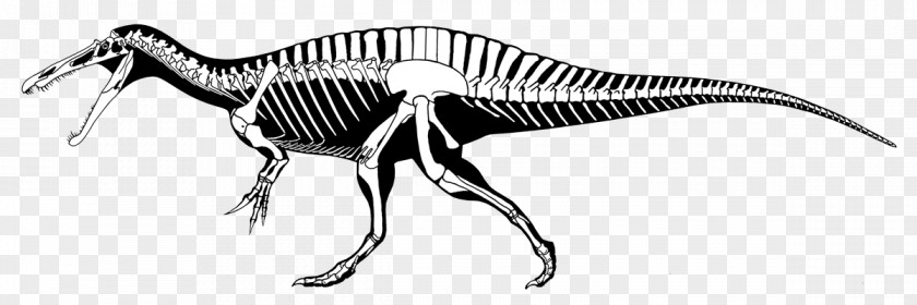 Dinosaur Spinosaurus Tyrannosaurus Suchomimus Ichthyovenator Baryonyx PNG