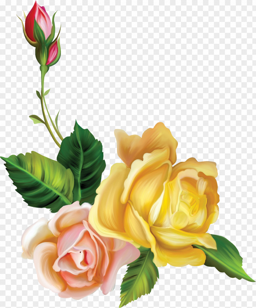 Floral Number Flower Drawing Photography Clip Art PNG