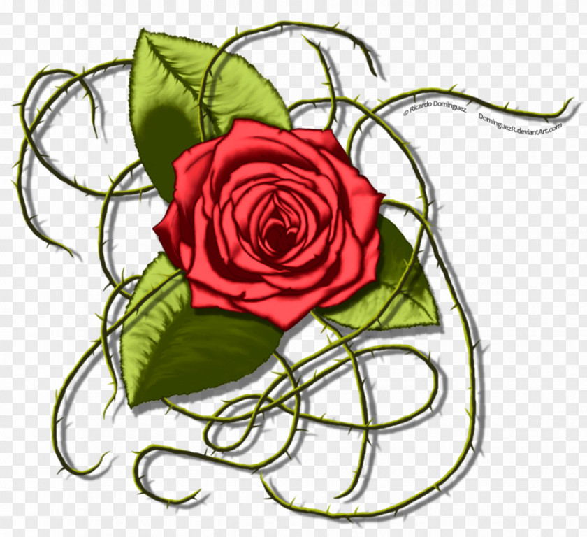 Flower Floral Design Garden Roses Cabbage Rose Cut Flowers Bouquet PNG