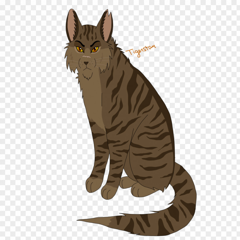 Cool Cat Tabby Kitten Domestic Short-haired Warriors PNG