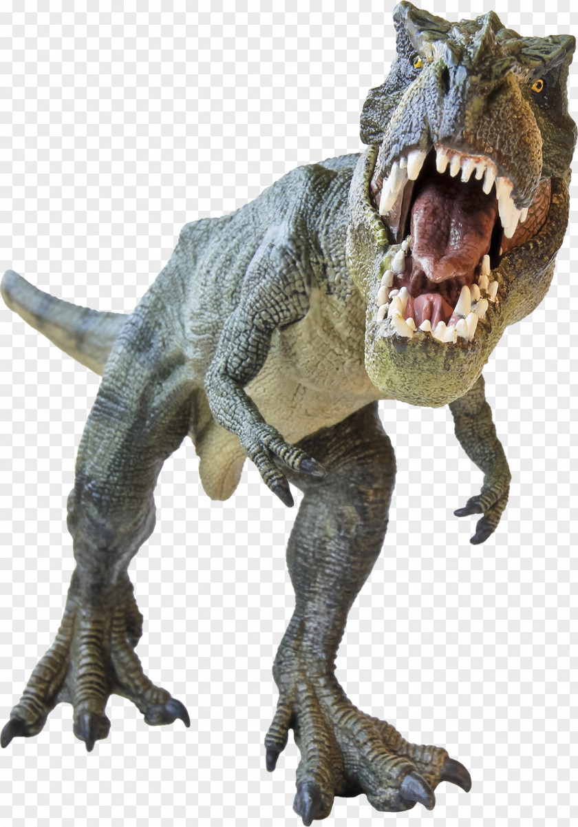 Dinosaur Argentinosaurus Size Tyrannosaurus Rex Stock Photography PNG