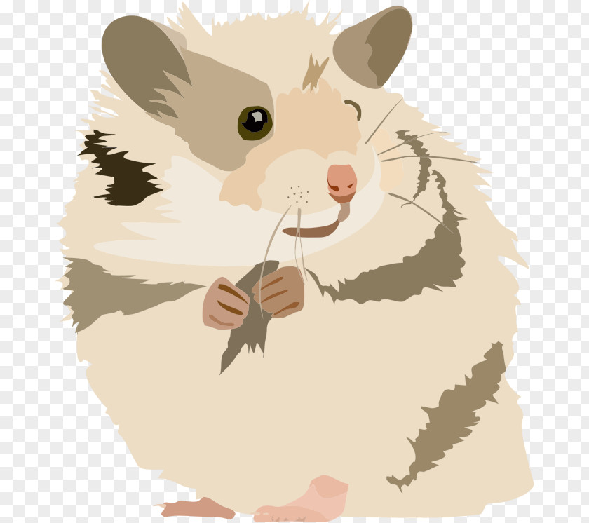Hamster Golden Gerbil Rodent Mouse PNG