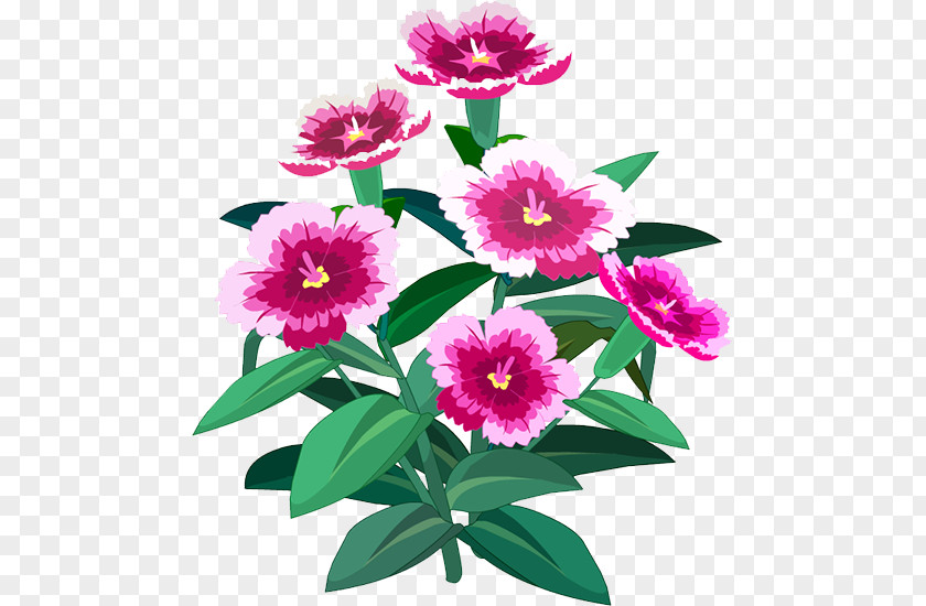 Plant Peony Floral Design Herbaceous Annual Magenta PNG