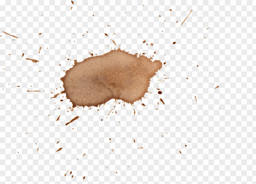 Watercolor Stain Coffee United Nations Security Council Resolution 1386 Snout PNG