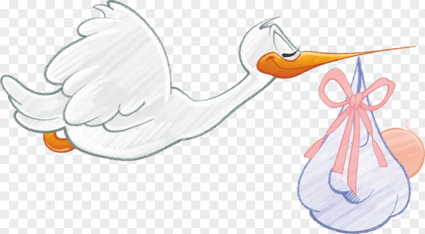 White Swan Stork Infant Clip Art PNG