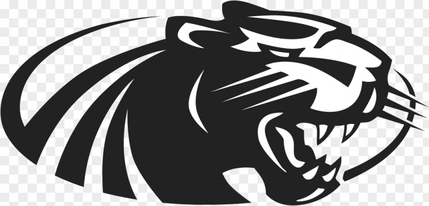 Borderlands 2 Logo Png Vault University Of Wisconsin-Milwaukee Half Moon Bay High School Pool Milwaukee Panthers Men's Basketball Women's PNG