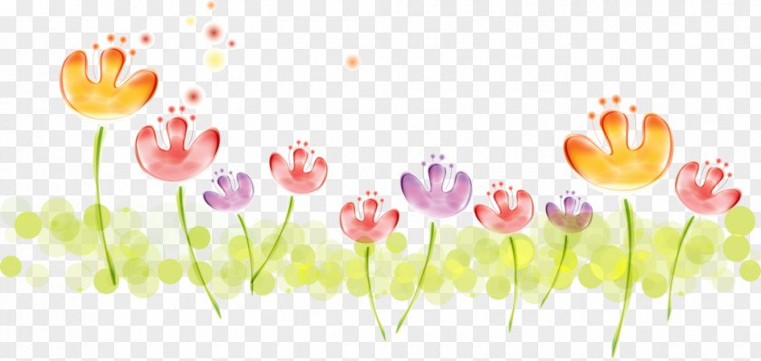 Detailed Flower Image Clip Art Drawing Cartoon PNG