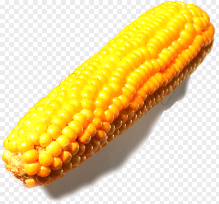 Epi Corn On The Cob Commodity Maize PNG