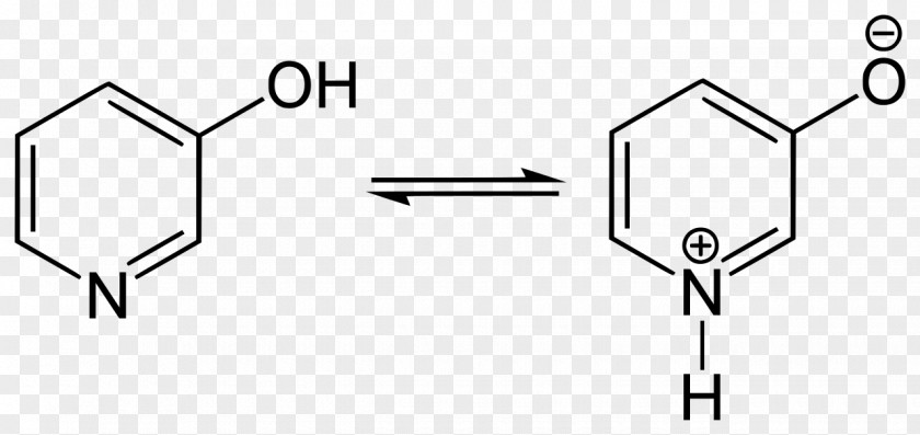 Piridien Nicotinamide Adenine Dinucleotide Pyridoxal Phosphate Kinase PNG