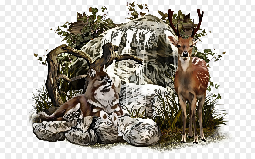 Plant Roe Deer Wildlife PNG