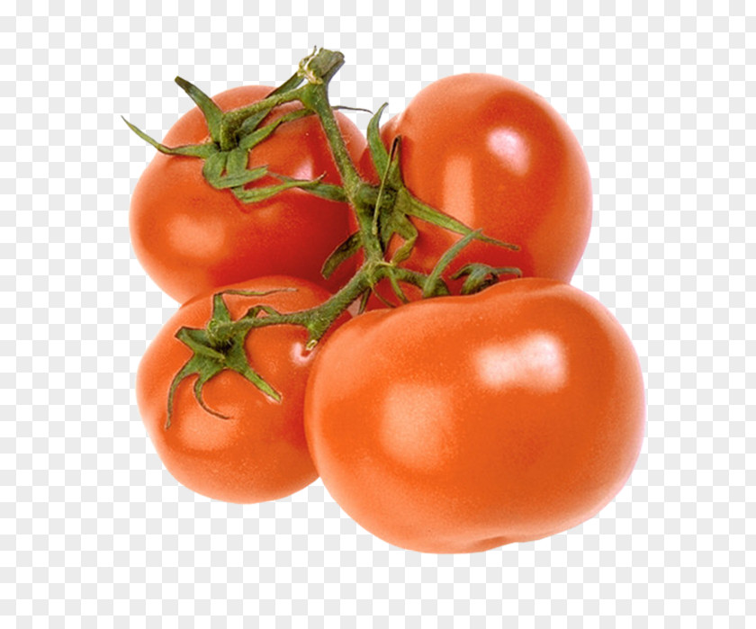 Tomato Plum Bush Vegetable Vegetarian Cuisine PNG