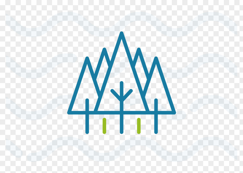 TYPHA Ushuaia Real Estate Appraisal Gospodarka Leśna Forest PNG