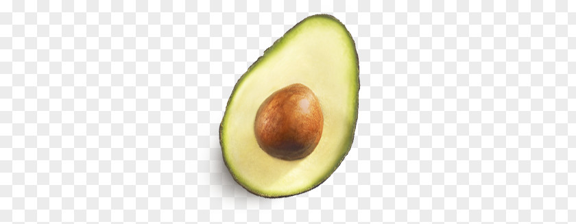 Avocado PNG clipart PNG