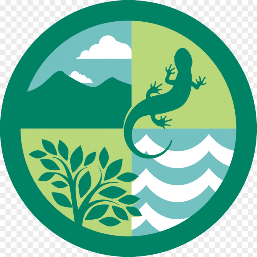 Edu Ecosystem Forest Ecology Logo Natural Environment PNG