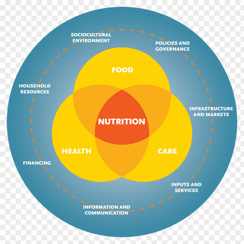 Human Health; Diet; Pyramid Nutrition Systems Theory Health Diagram PNG