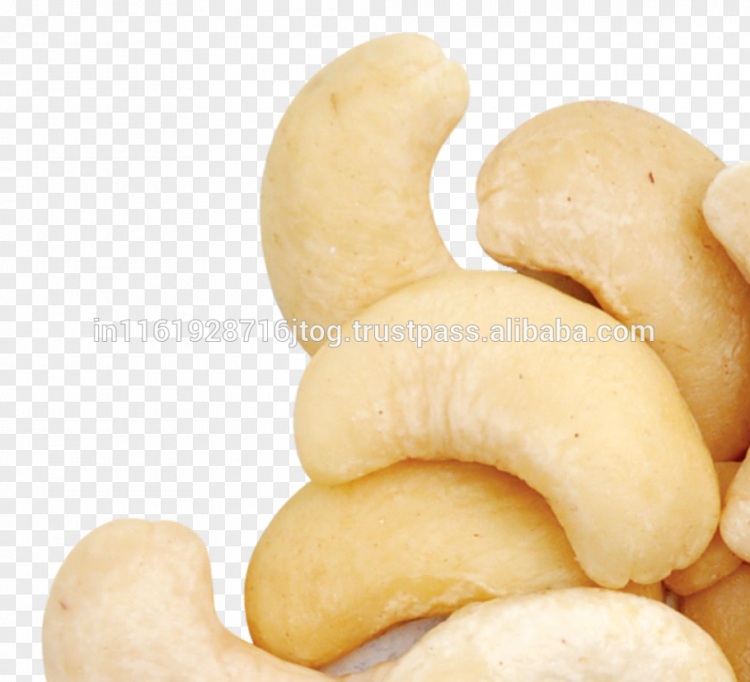 CASHEW Cashew Organic Food Nut Ingredient PNG