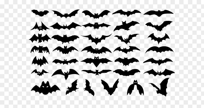 Halloween Bat PNG bat clipart PNG