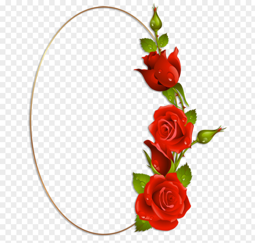 Rose Garden Roses Red Drawing PNG