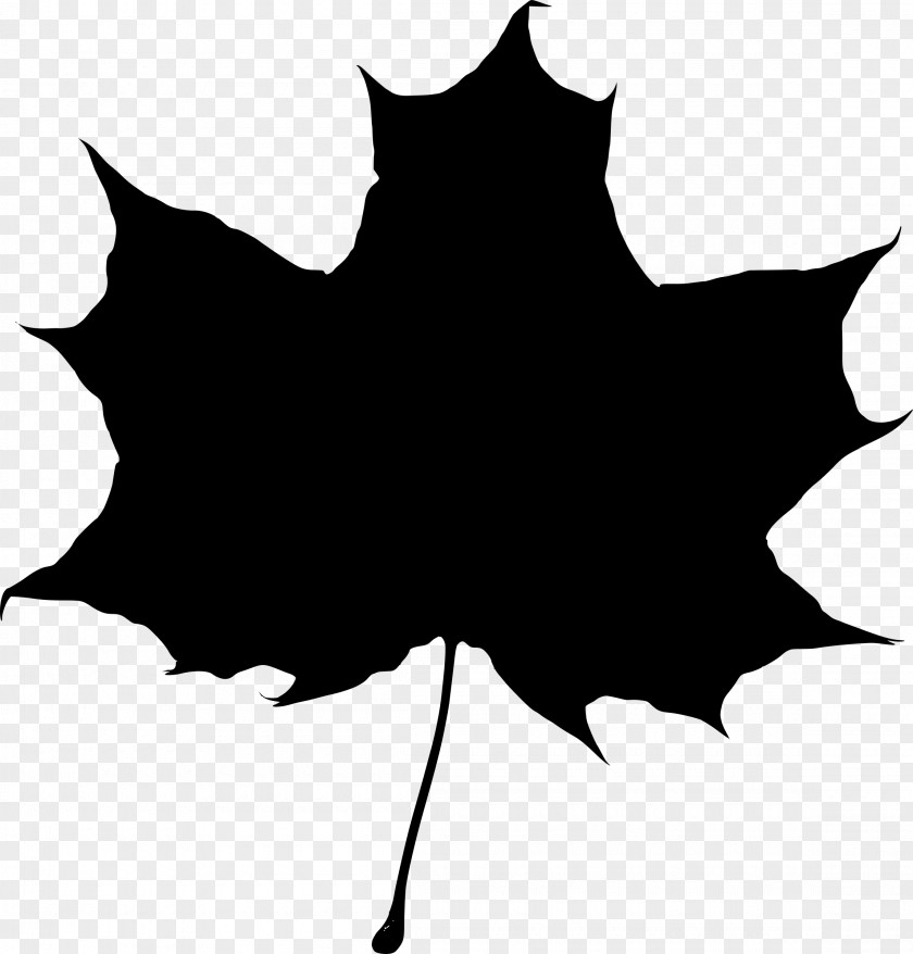Falling Maple Leaf Drawing Silhouette PNG