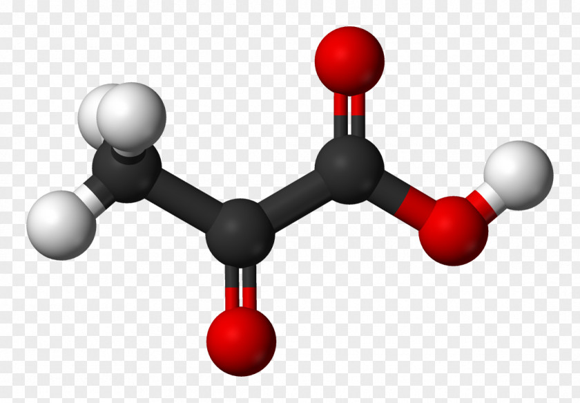 Molar Sugar Pyruvic Acid Lactic Tartaric Oxalic PNG