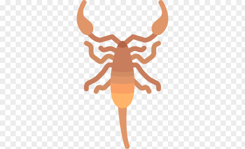 Scorpio Animal Scorpion Wildlife PNG