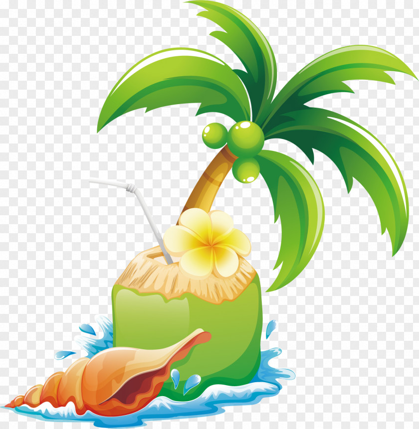 Vector Coconut Island Arecaceae Tree Illustration PNG