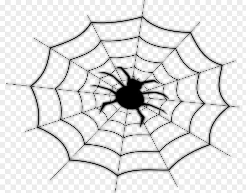 Vector Spider Web Clip Art PNG